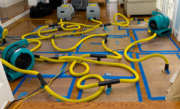 Professional Sewage Cleanup technician working in Ottawa Lake, MI